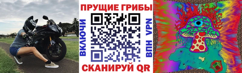 Галлюциногенные грибы GOLDEN TEACHER  Кущёвская 